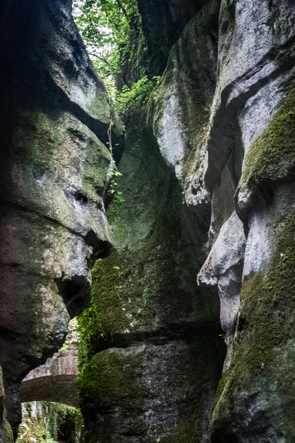 p1180201-2_49153292613_o