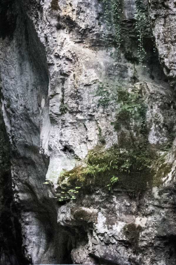 p1180205-3_49153785351_o