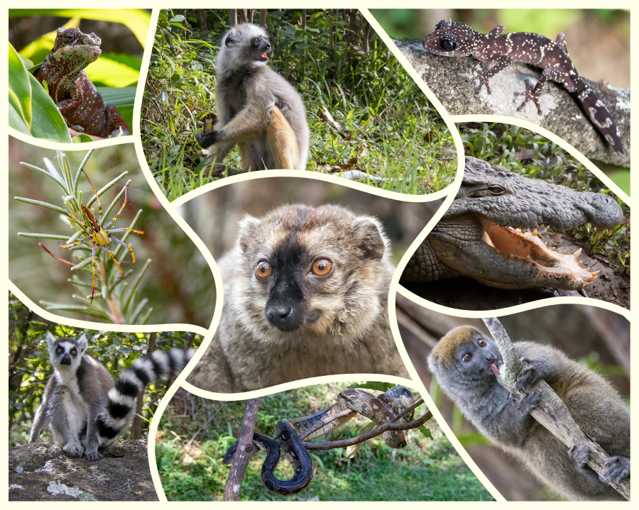 10925837-Récupéré copie