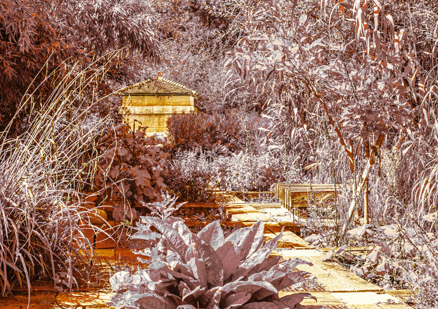 JARDIN ARC ET SENANS 01 1920px