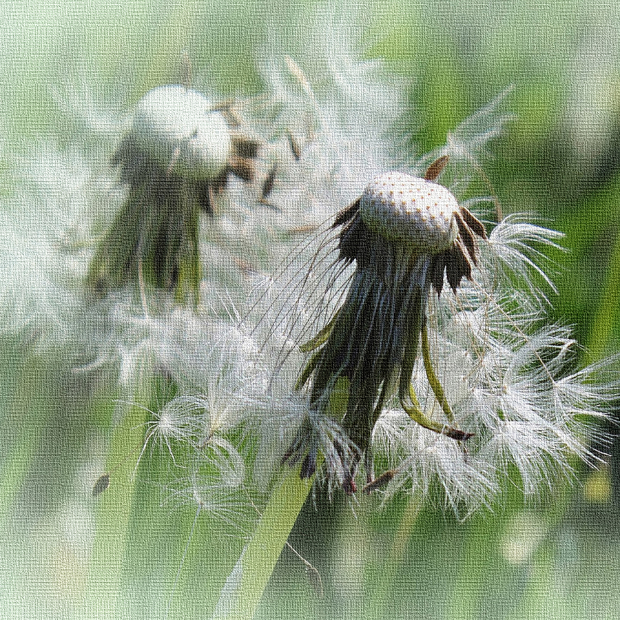 Autant en emporte le vent....