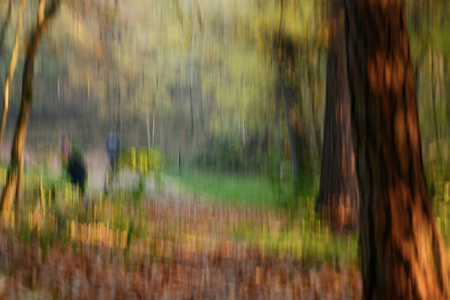 M. Beaufils - Flânerie 