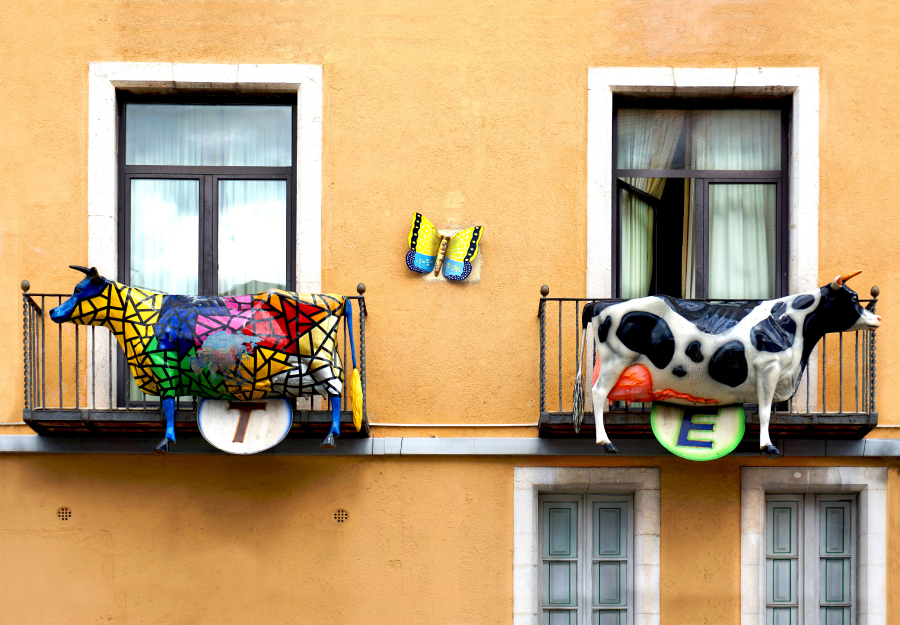 3-DSC02941  _  Figueras