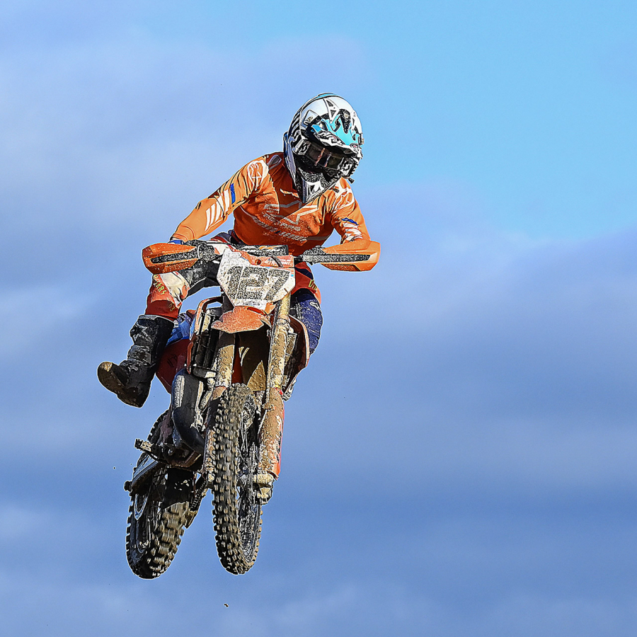 _DSC0133X - Copie - CopieX