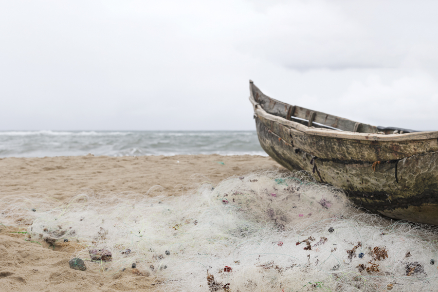 _guinot-E002_2_V8A3482 copie 2