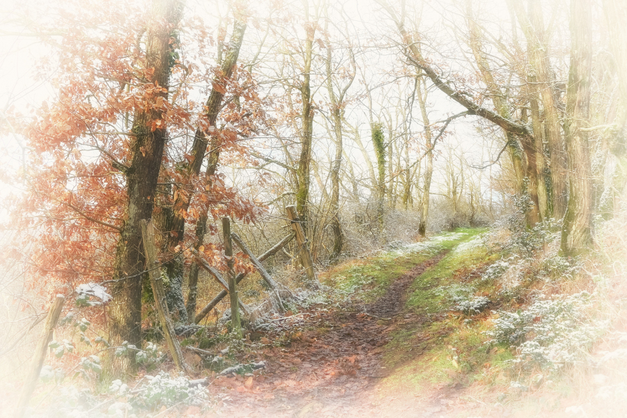 M. Beaufils - Frisson d'hiver  1 