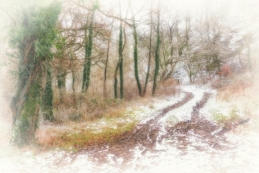 M. Beaufils - Frisson d'hiver  2 