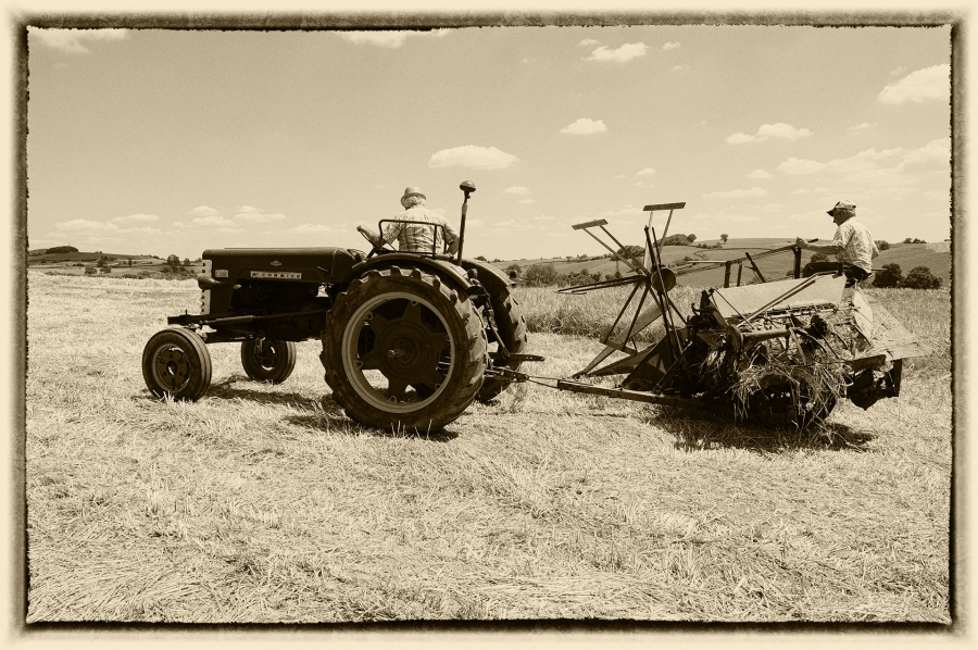 moisson 04 sepia1920