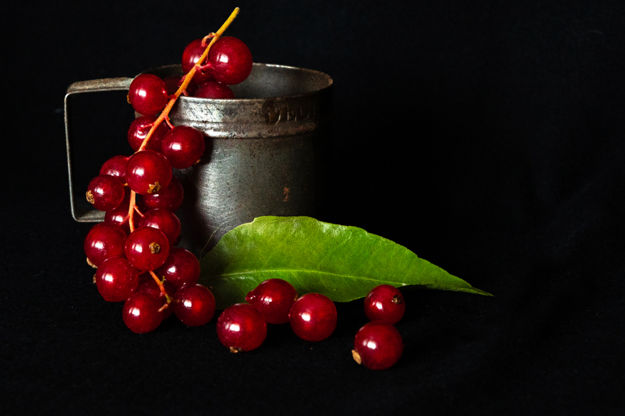 Andrée Claude groseilles réduite