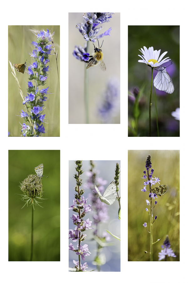 M. Beaufils - Marque-pages 1920 x 1280 14.10.2025 