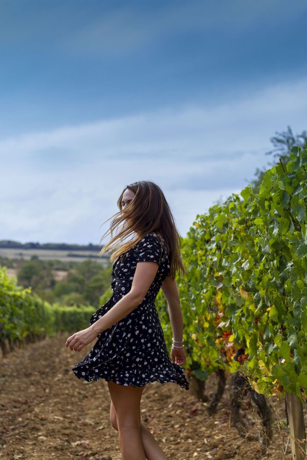 Au milieu la vigne