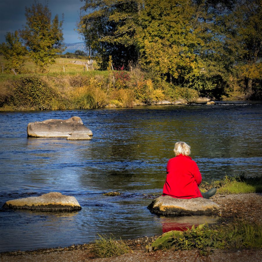 Contemplation