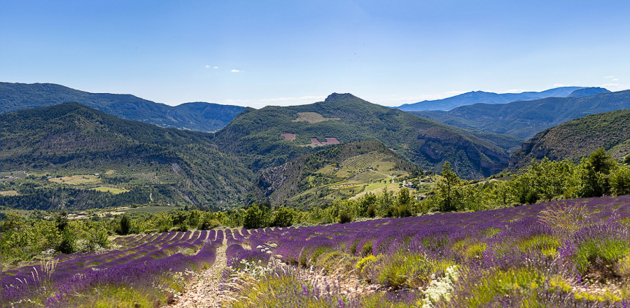 Drôme provençale