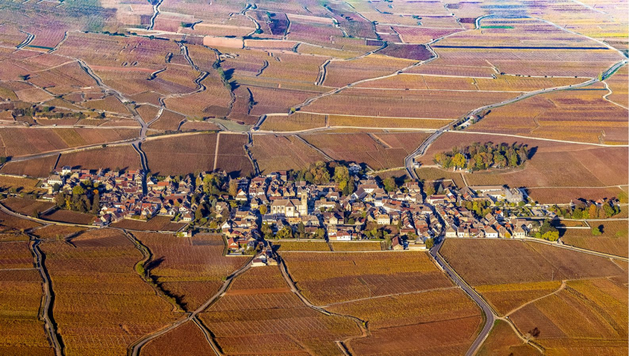 Pommard