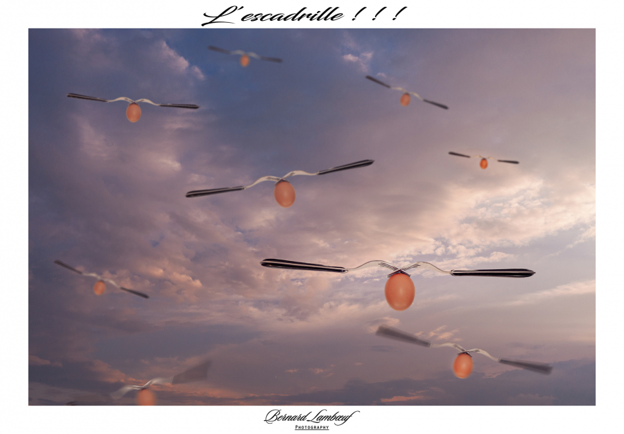 L'escadrille