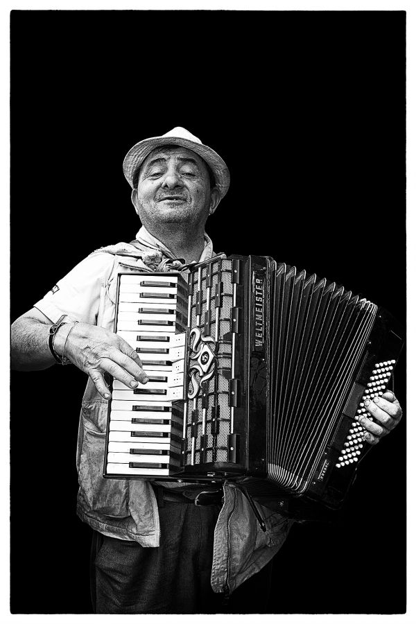 L'accordéoniste