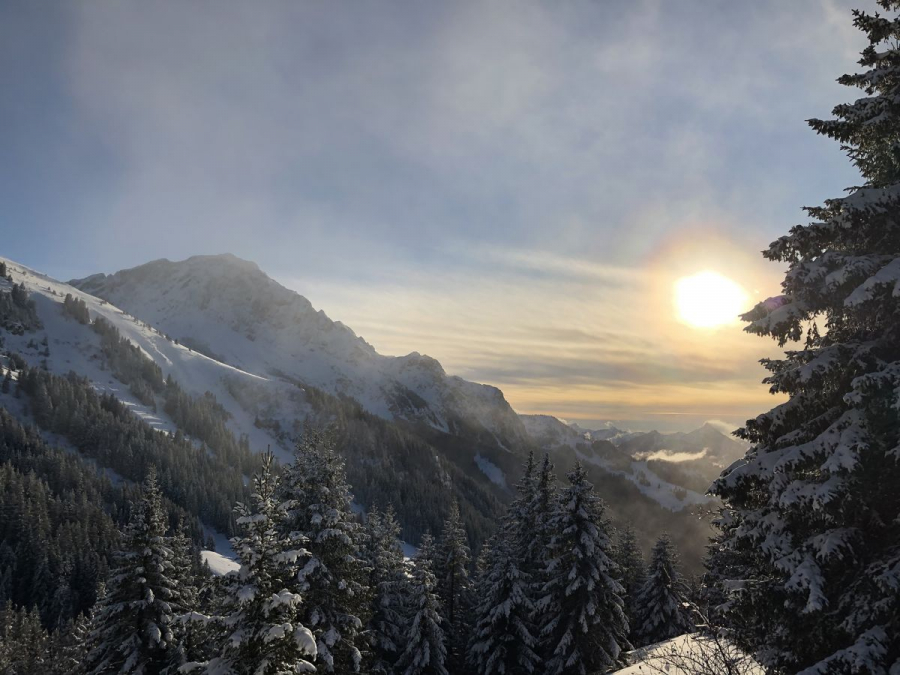 Thollon les Mémises