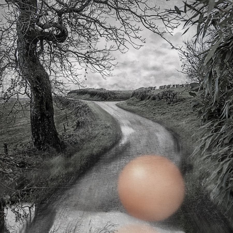 La rue de l'égalité 03