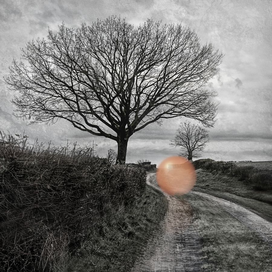 La rue de l'égalité 05