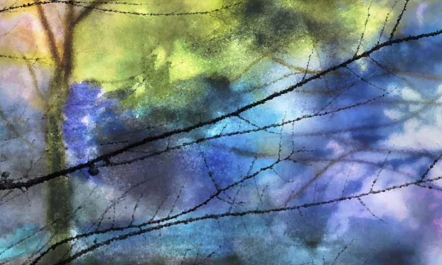 dumont_Branches J & Bleu-YD