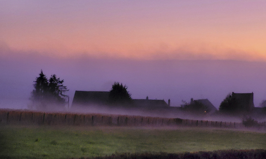 dumont0061-La Rouelle YD