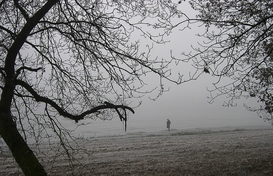 fiault-09122013-DSCN3398