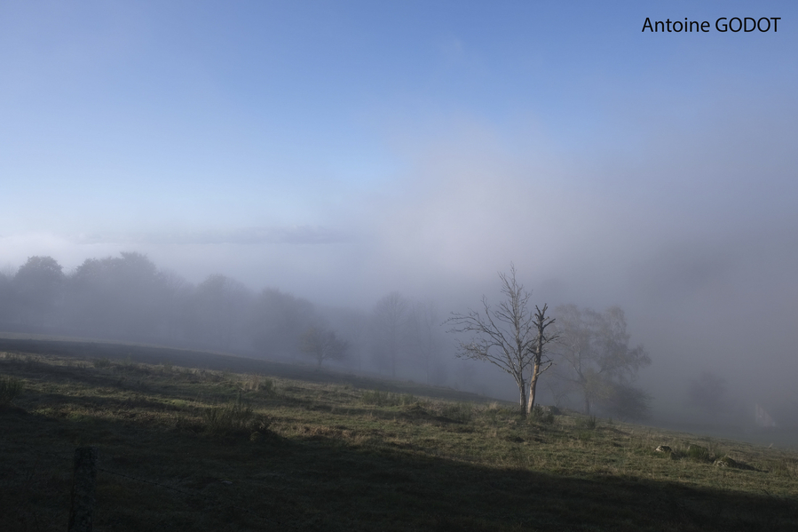 godot!cid_184a8c9ae36d2f18b071 copie