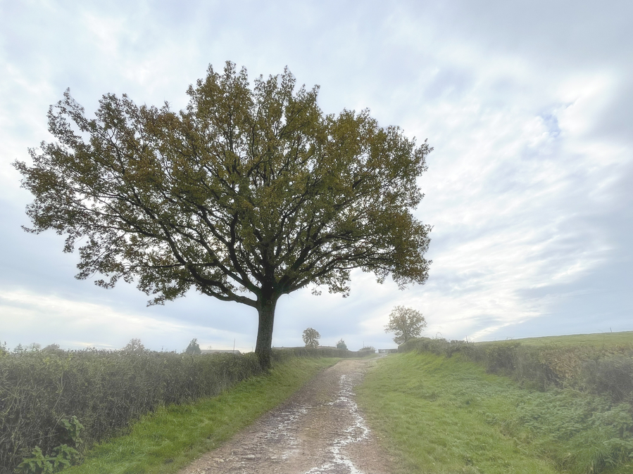 guinot_eIMG_2114 copie