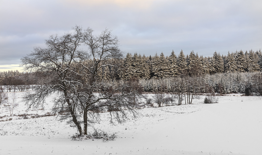 1 M. Beaufils- neige 