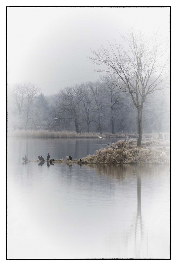 deleyph0031W5A6254 photo préférée Ph DELEY