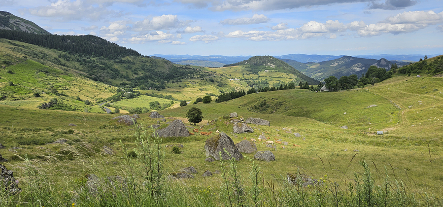 _leneuf_PRES DU MT MEZENC copie