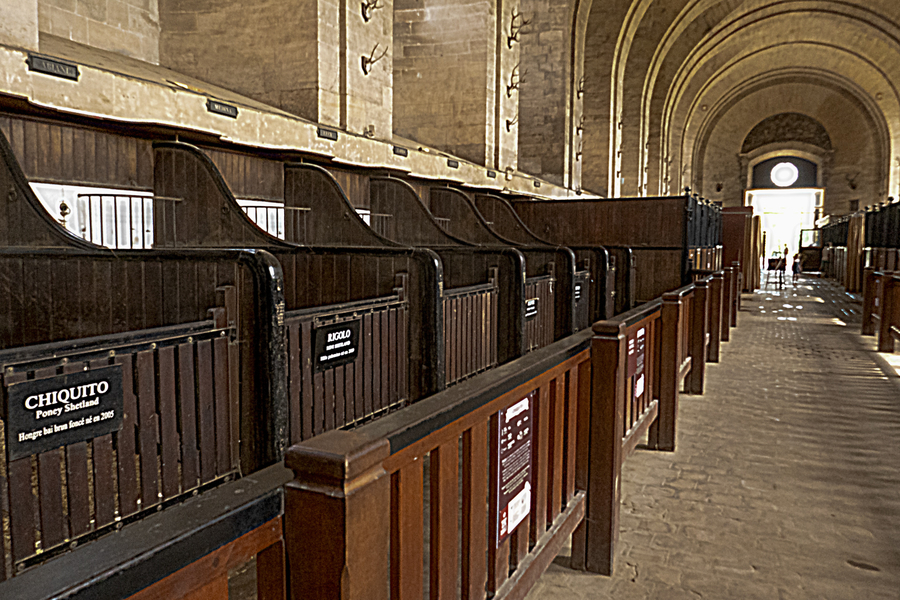 labonde001écuries de Chantilly2