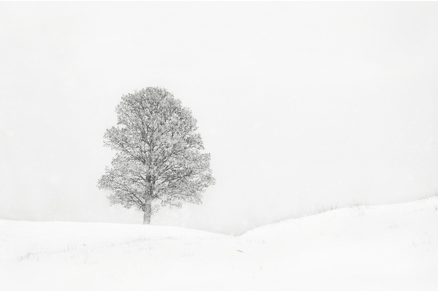 M. Beaufils - Solitaire 