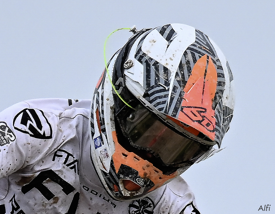 DSC_1782X (2) - Copie