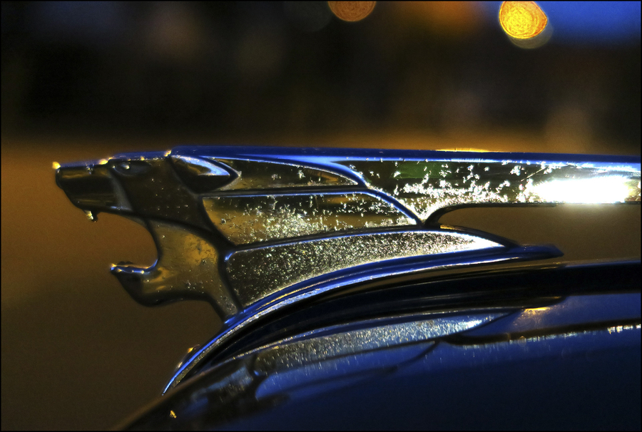 img_2769-r_52004175871_o