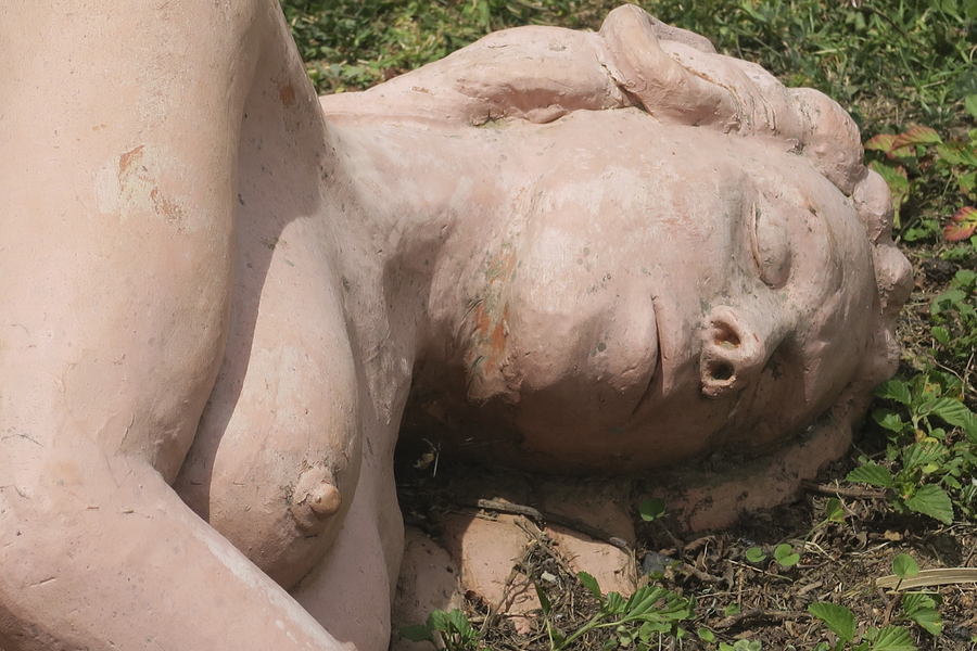 img_4556_52004175636_o