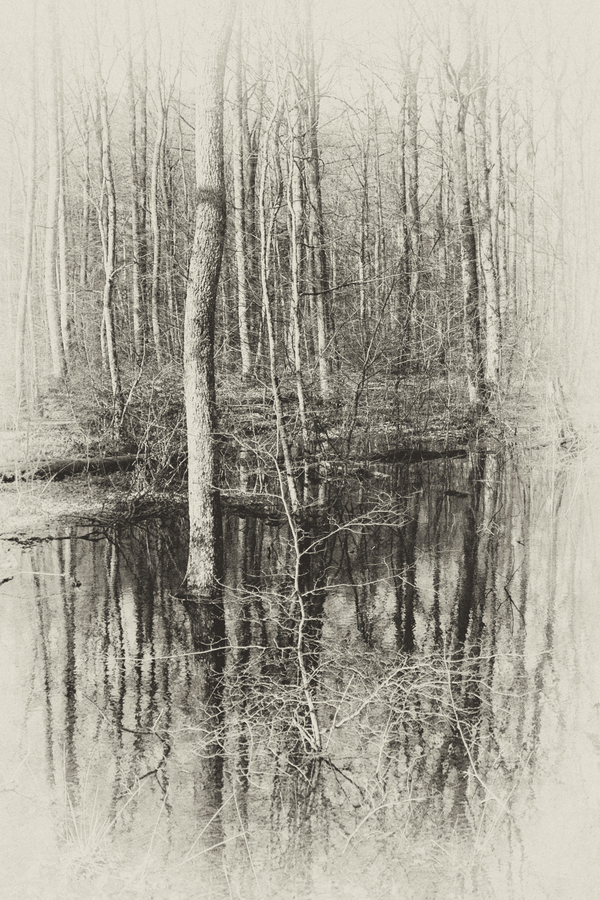 les-pieds-dans-leau_51992008211_o