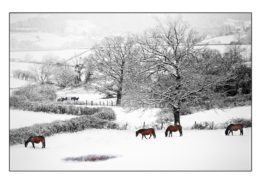 04-alignement_51992551405_o