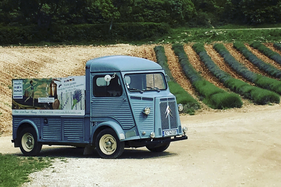 champ-de-lavande_51992057983_o