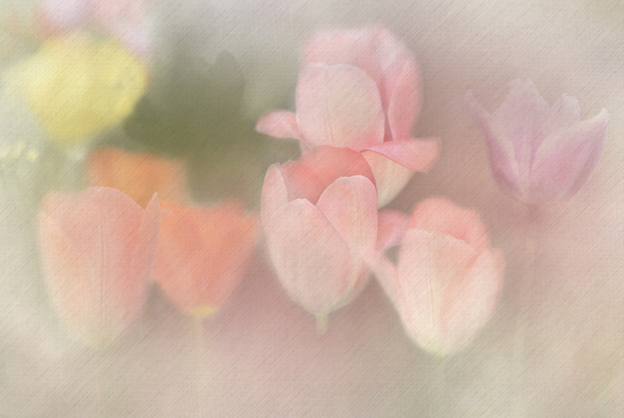 4---m-beaufils--variation-photographique_51992490485_o