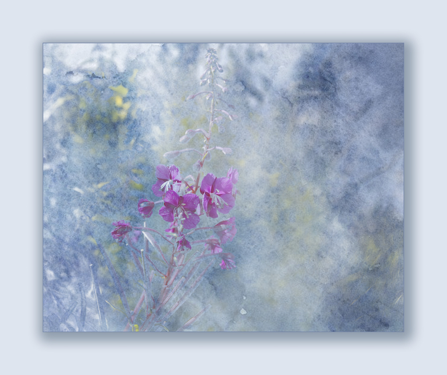 aquarelle_51992495620_o