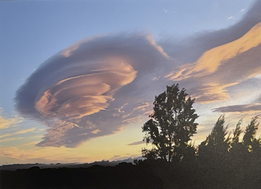 img_0337-copie_51992475710_o