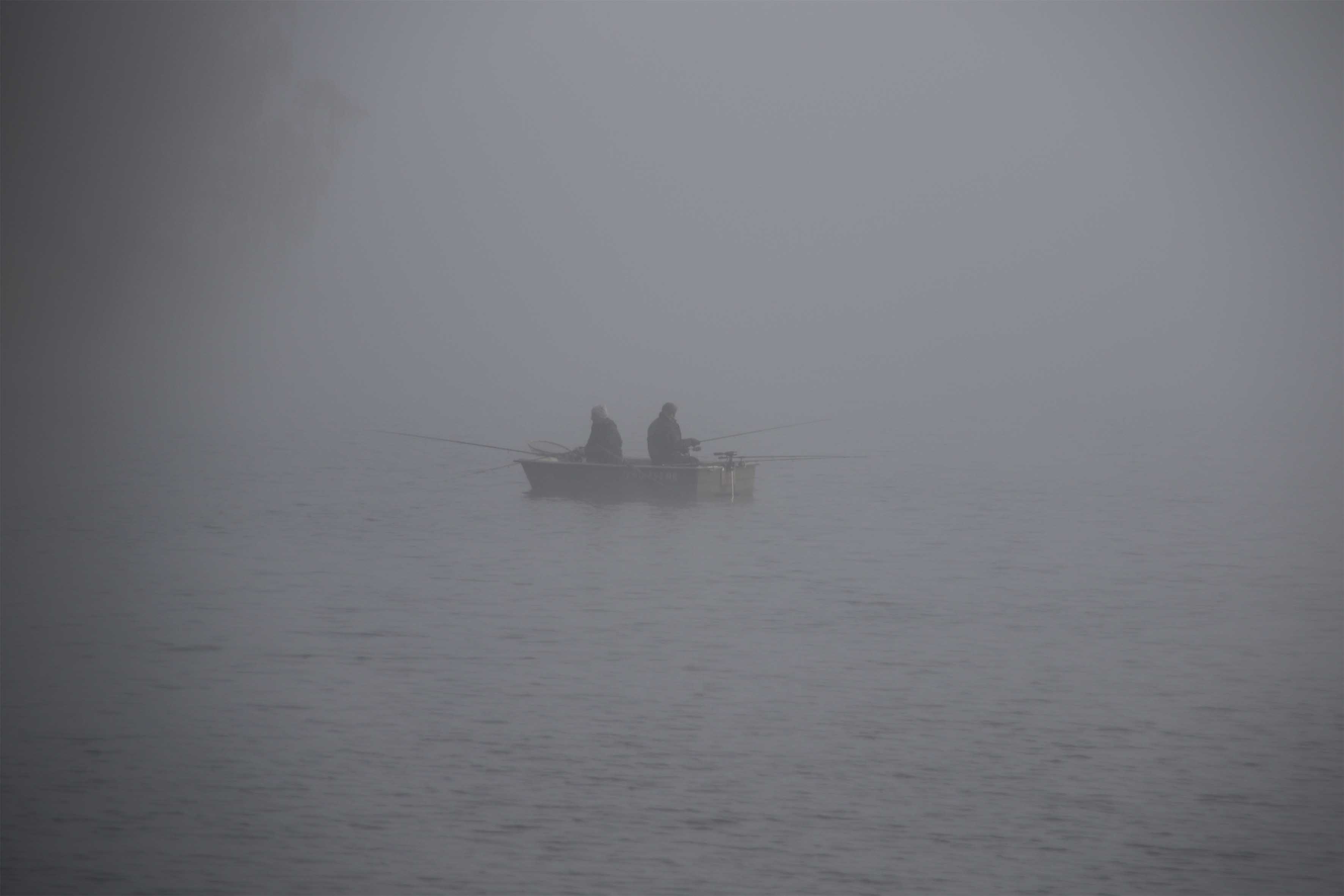 1w5a5868-1-dans-la-brume_53067563654_o