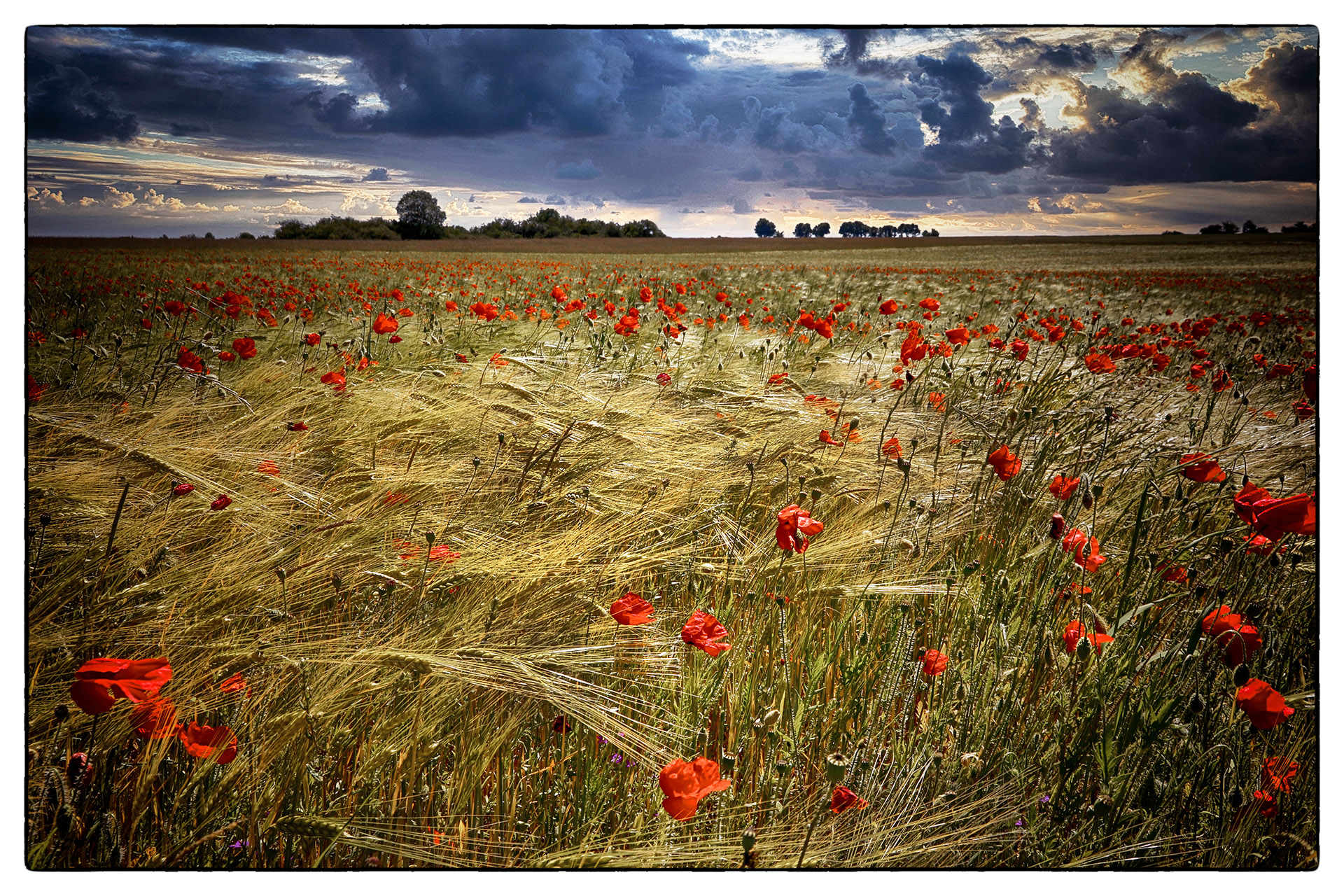 003-au-couchant_53067571829_o