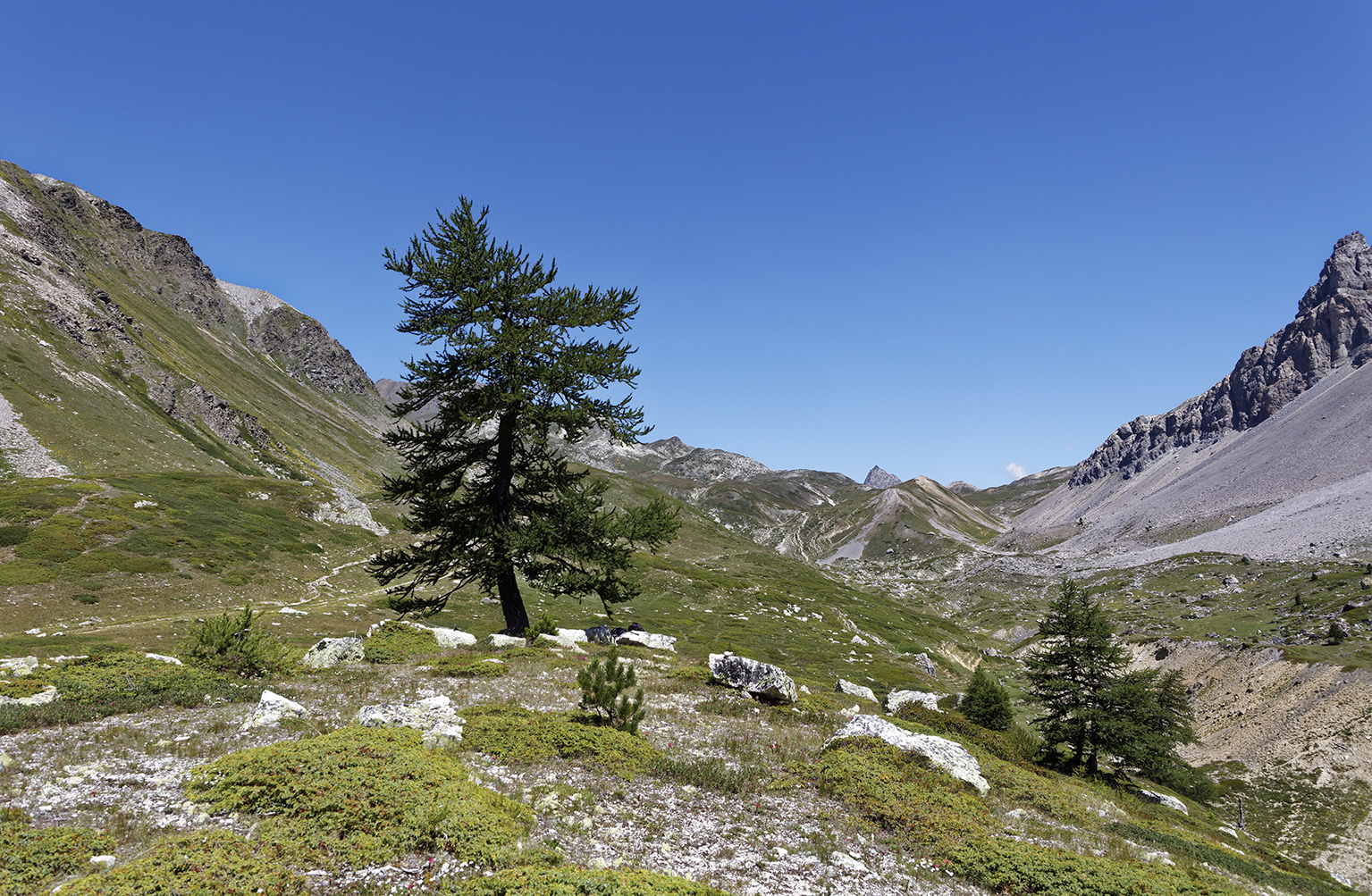 3-dernier-mlze_53066808822_o