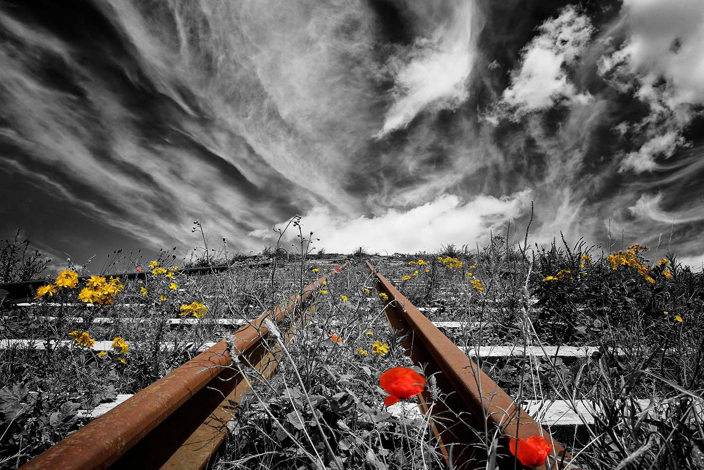 06-voie-intemporelle_53067982968_o