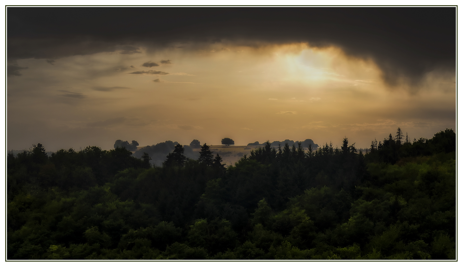 52288923364_d946b02e41_o_53067766895_o