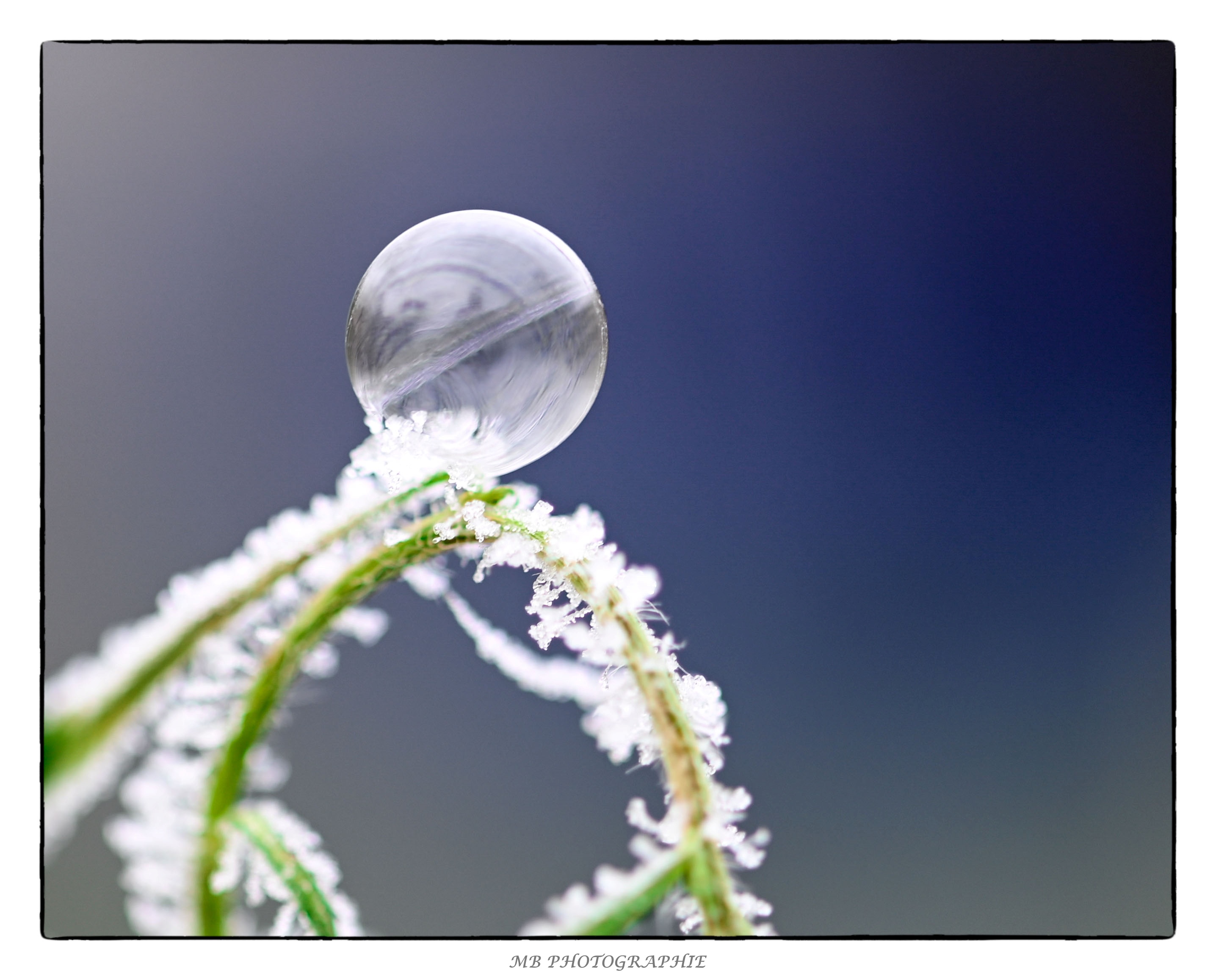 bulles-givres-1_53067762205_o