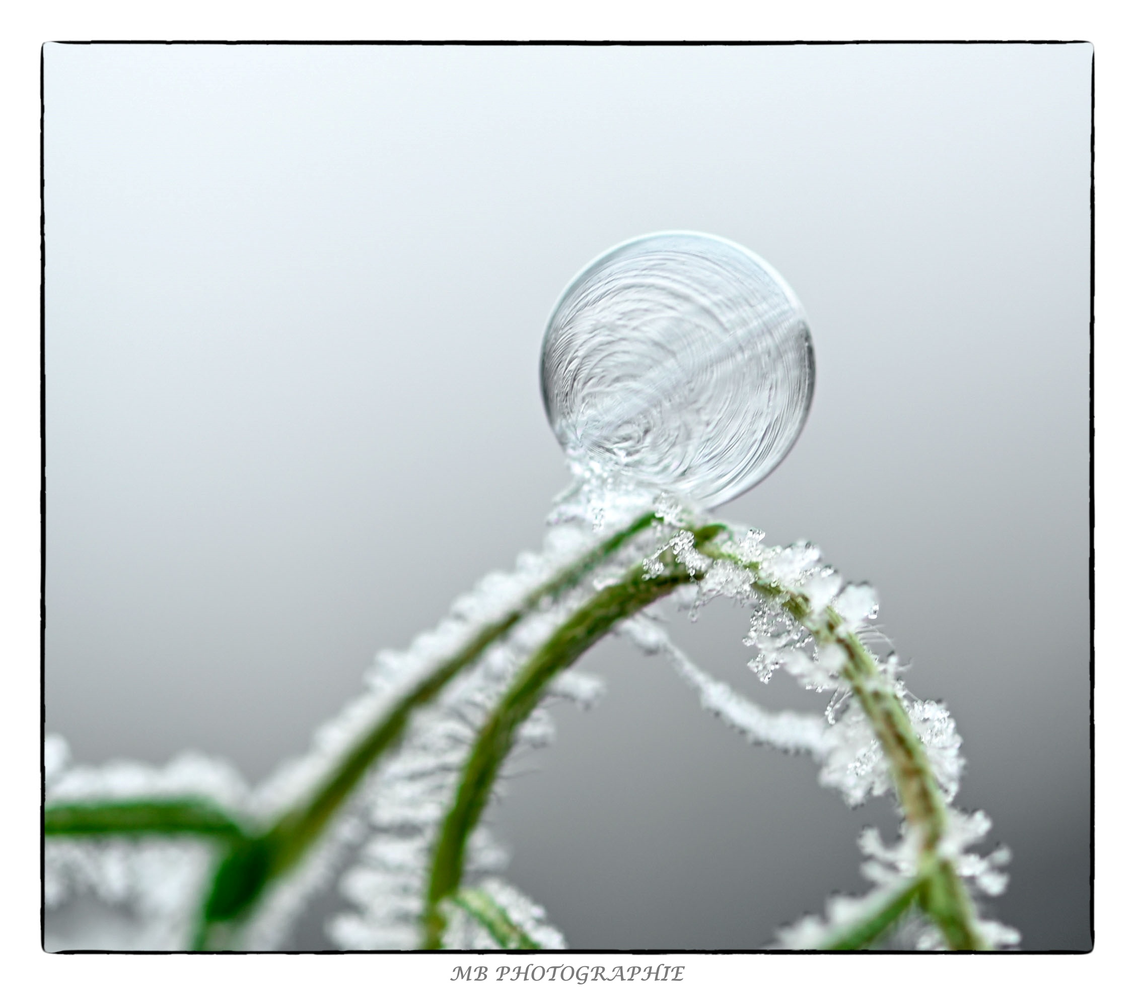 bulles-givres-2_53067373386_o