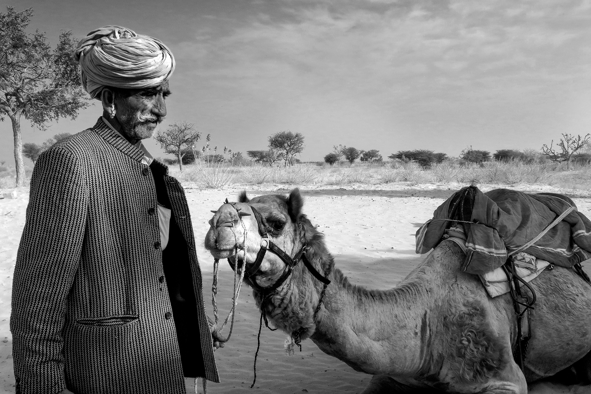 dans-le-dsert_53067617629_o